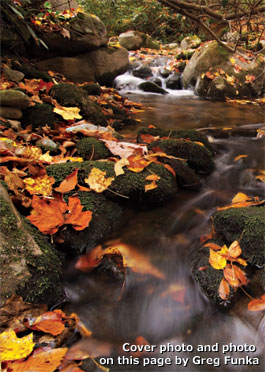 Cover photo and photo 
on this page by Greg Funka