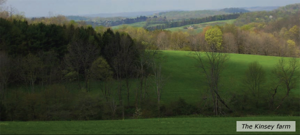 The Kinsey Farm