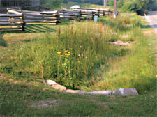 Bioswales, like this one near the Barn at Fallingwater, are also
being installed as part of the visitors’ parking lot renovation.