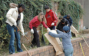 South Hills Middle School students help
with the removal of old foliage.