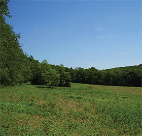 The Newell property.