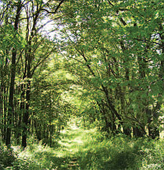 Wib and Carol Newell’s conservation efforts will protect the headwaters of Loyalhanna Creek.