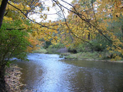The lower Mahoning watershed covers
approximately 274 miles. WPC has been
actively involved in its conservation and
restoration since 2006.