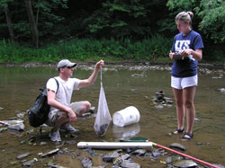 Staff biologist Mike Holiday and intern
Kelly Taylor weigh a Hellbender salamander.