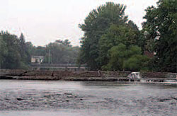 WPC’s assessments will help determine how
mussel populations in Conewango Creek are
affected by the environmental stress brought
on by a man-made dam.