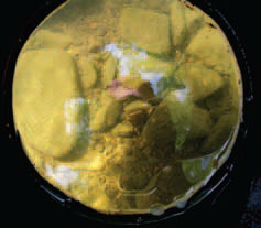 WPC conservation staff members often use
glass-bottom buckets for surveys.