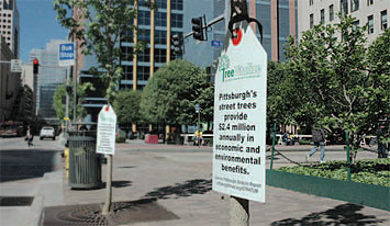 TreeVitalize planted 250 new trees in the
Golden Triangle, and hosted a celebration that
included a seedling giveaway, in honor of
World Environment Day.