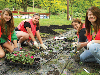 A group of volunteers planting a community garden on Banksville Road in Dormont.