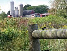 The Watershed Conservation Program works
with farms like this to protect their watersheds.