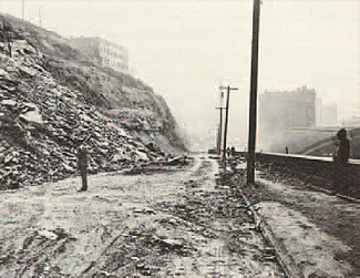 WPC’s first-ever project involved planting trees as part of the
restoration of this hillside along Bigelow Boulevard in 1940.