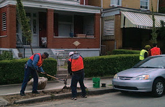 WPC staff and neighborhood volunteers planted trees along Race
Street in Pittsburgh’s Homewood area. Photo courtesy of Elwin Green.