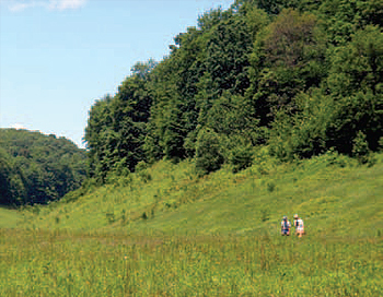 WPC is partnering with The American Chestnut Foundation to plant
blight-resistant chestnuts and is also planting native hardwoods on
30 acres of a reclaimed surface mine site at WPC’s Bennett Branch
Forest propety in Elk County.