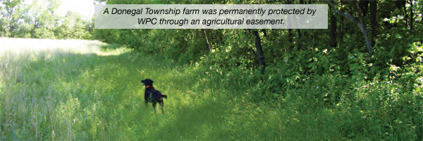 A Donegal Township Farm