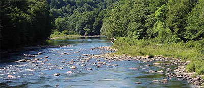 Catherine Raphael’s land along the Casselman River.