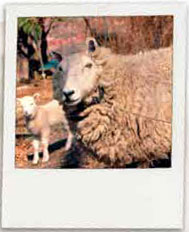 Frieda and Mary Ellen, once residents of the Barn at Fallingwater