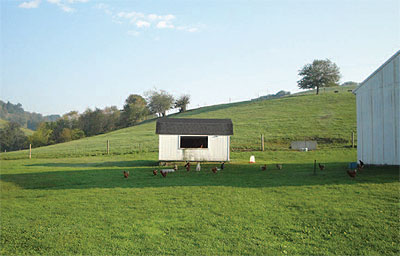 The Snyder farm in the Ligonier
Valley was protected in 2008
with an agricultural easement
facilitated by WPC.
Courtesy of WCALP.