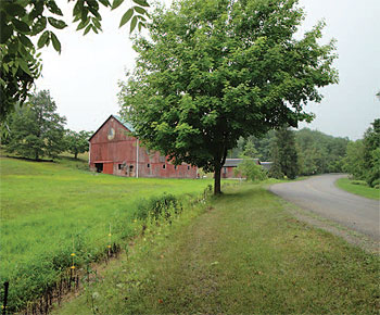 Farm and Ranchland Protection Program funds were used to keep the
Kinsey family farm in Westmoreland County in production.
Courtesy of WCALP