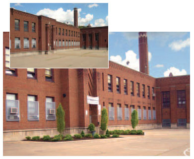 After: Hornbeam trees at the school’s entrance now welcome students
and teachers.