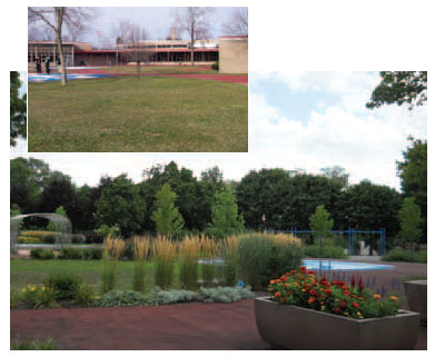 After: A southwest view shows the feather reed and switch grass along
the walkway, and blue salvia and red celosia in the planters.