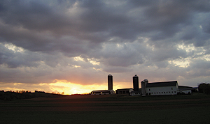WPC uses many conservation tools to protect 
lands, including agricultural easements.