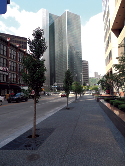 WPC is the managing partner of TreeVitalize Pittsburgh, which is planting thousands of trees in the Pittsburgh area. 