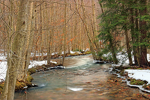 The waters of Cherry Run now rush past its banks in this photo taken in March.