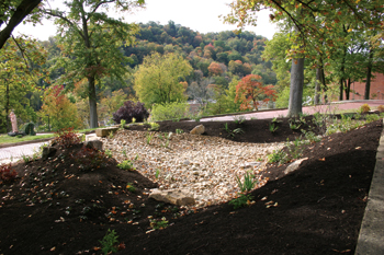 Bioswales capture storm water close to the source, reducing roadway flooding, ponding and sewer overflows.