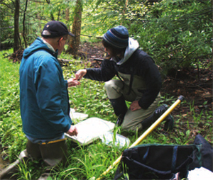 WPC scientists study aquatic life at Morrison Run.