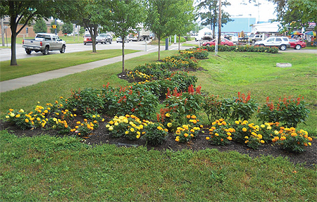 Marigolds and red salvias bloom
at the Second District Elementary
School in Meadville.