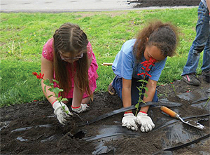 Meadville student volunteers.