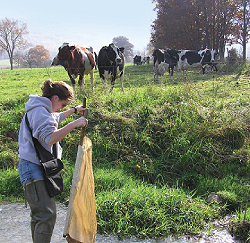 Jennifer Farabaugh, WPC’s Juniata and Potomac watershed 
manager, conducts research in front of streambank fencing, which 
not only improves the water quality of the stream but also helps 
keep the livestock healthy.