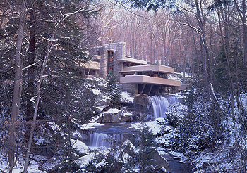 Interpretive sign at the Bear Run chestnut tree
demonstration area helps visitors understand
the efforts to restore this tree species.