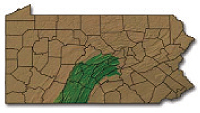 Pennsylvania’s Central Valleys and Ridges — highlighted here in 
green — stretch up to the Centre-Clinton county line, down to the state border, as far east as Perry County and as far west as Somerset County.