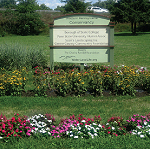 The critically threatened golden-winged warbler prefers early successional habitats for nesting.